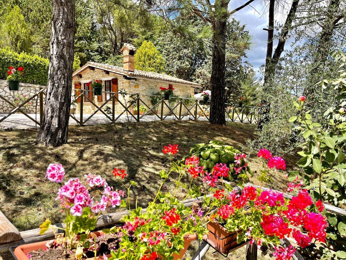 La Panoramica Gubbio - Maison De Charme - Casette E Appartamenti Self Catering Per Vacanze Meravigliose! Εξωτερικό φωτογραφία