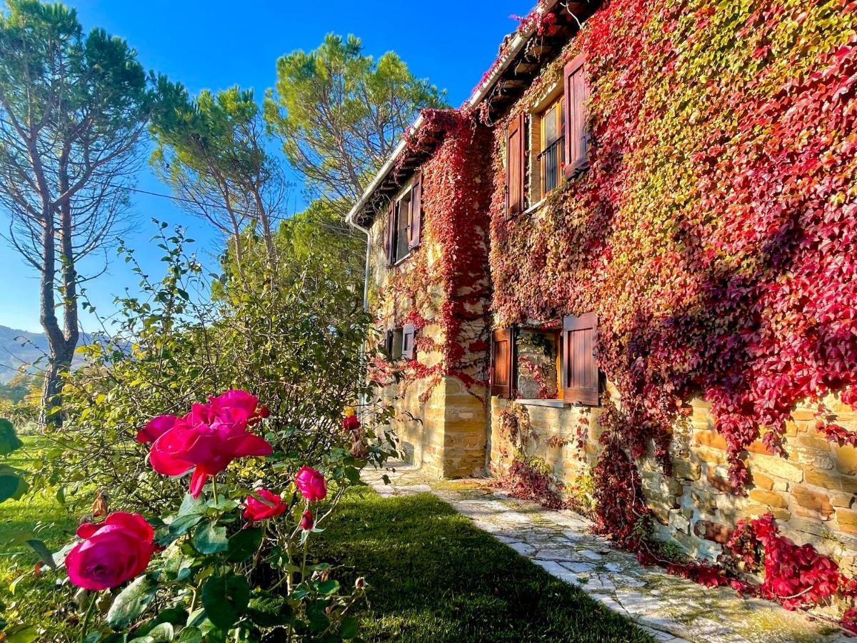 La Panoramica Gubbio - Maison De Charme - Casette E Appartamenti Self Catering Per Vacanze Meravigliose! Εξωτερικό φωτογραφία