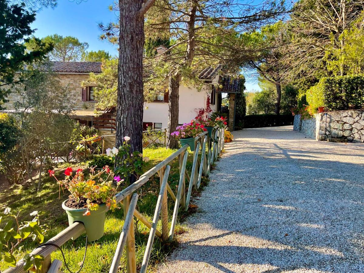 La Panoramica Gubbio - Maison De Charme - Casette E Appartamenti Self Catering Per Vacanze Meravigliose! Εξωτερικό φωτογραφία