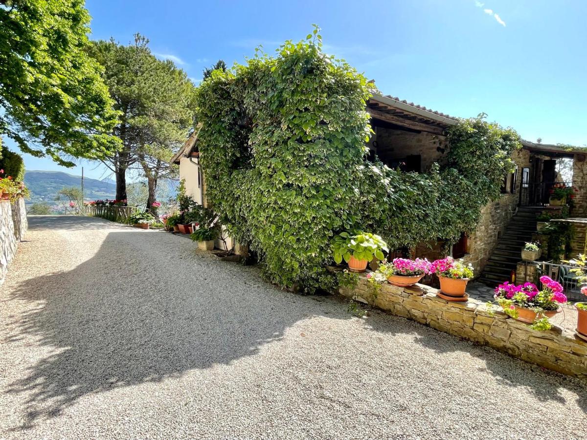 La Panoramica Gubbio - Maison De Charme - Casette E Appartamenti Self Catering Per Vacanze Meravigliose! Εξωτερικό φωτογραφία
