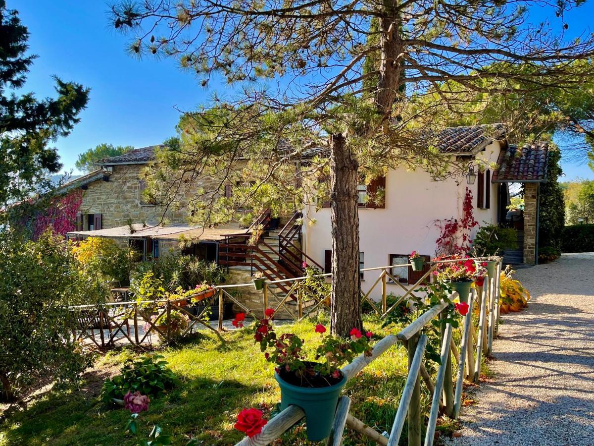 La Panoramica Gubbio - Maison De Charme - Casette E Appartamenti Self Catering Per Vacanze Meravigliose! Εξωτερικό φωτογραφία
