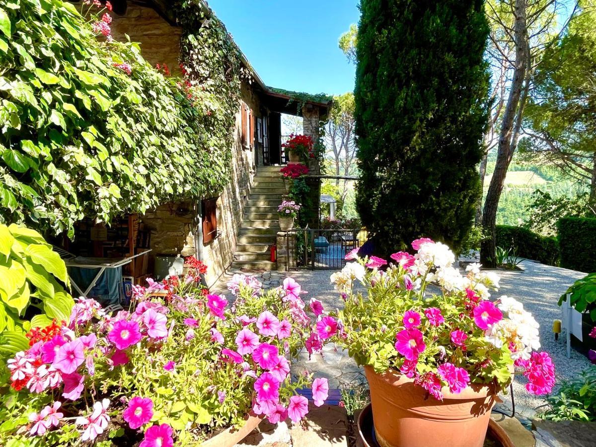 La Panoramica Gubbio - Maison De Charme - Casette E Appartamenti Self Catering Per Vacanze Meravigliose! Εξωτερικό φωτογραφία